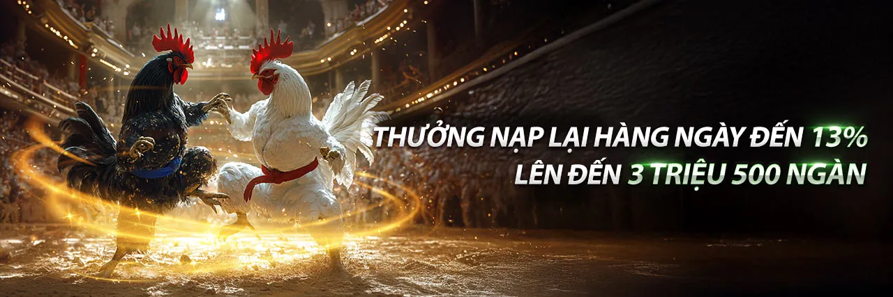 Sảnh Đá Gà trực tiếp R88 với hình ảnh đấu trường sôi động